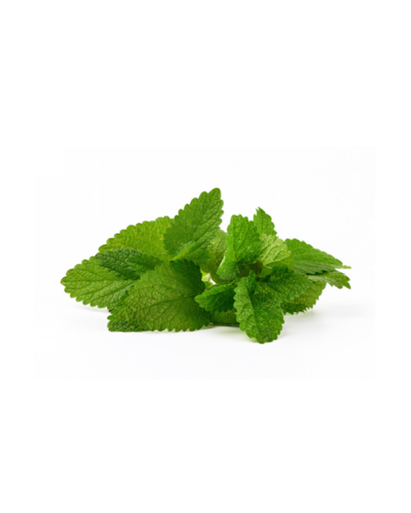 Menthe Marocaine  /  BIO / (à la botte)