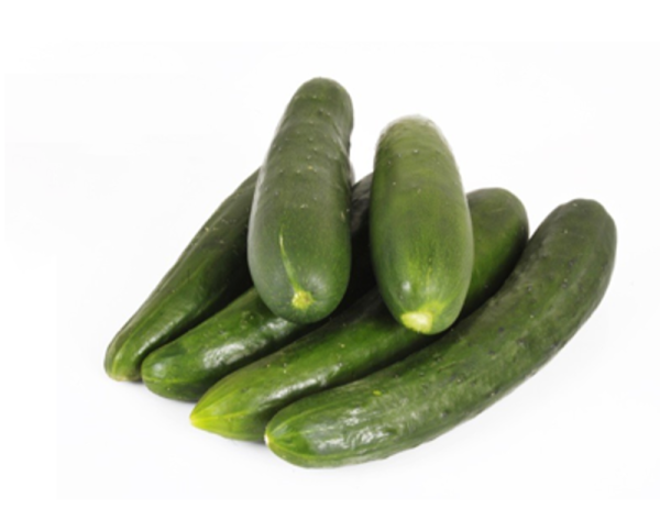 Concombre épineux  /  BIO / (au kg)